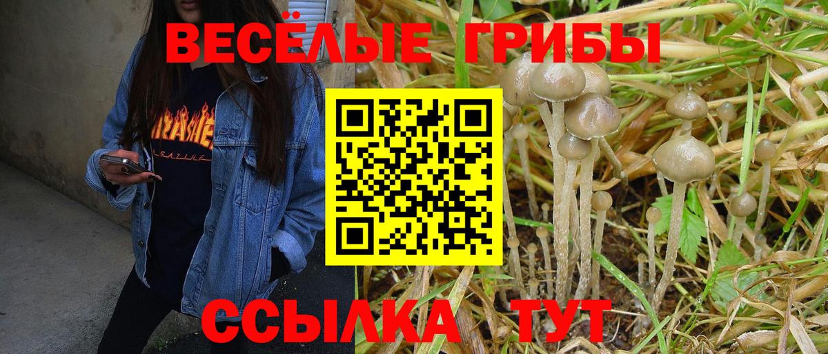 Галлюциногенные грибы мухоморы Калуга