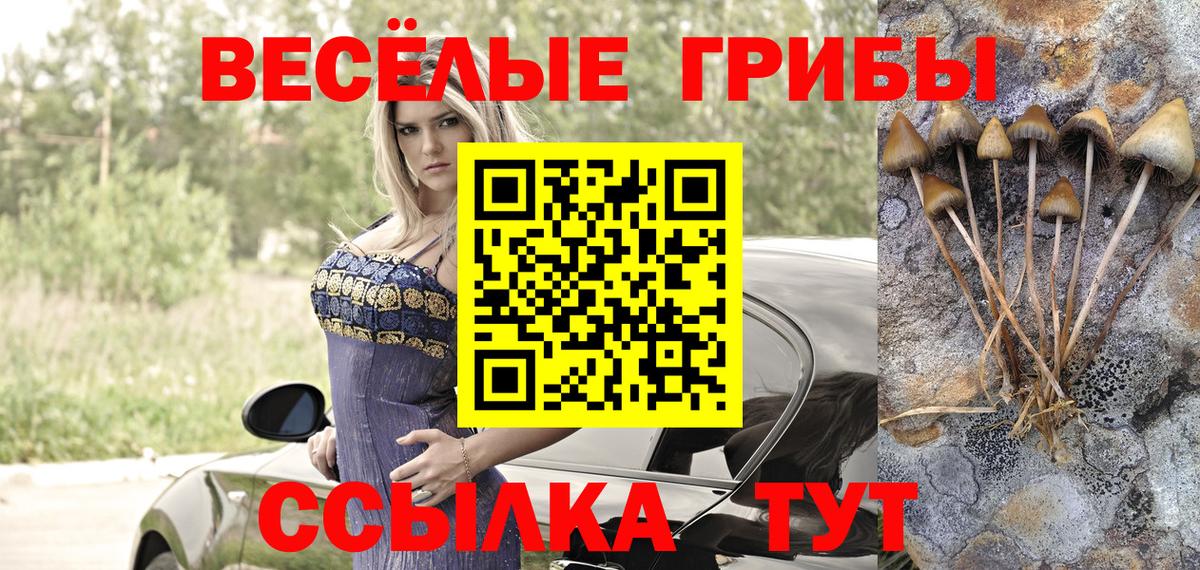 Псилоцибиновые грибы мухоморы  Вход с VPN  Псилоцибиновые грибы прущие грибы  Калуга 